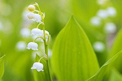 《星球大战绝地：幸存者》谜题密室展示 类似《塞尔达传说：荒野之息》